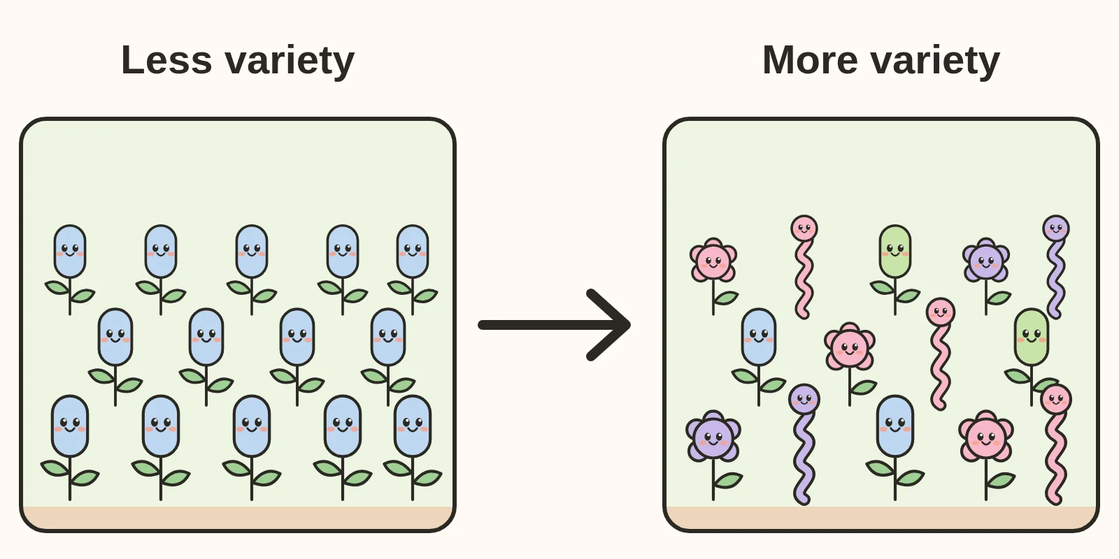 Two garden panels. Left, labeled Less variety: neat rows of one kind of blue plant. Right, labeled More variety: a mixed garden of different colorful plants, with an arrow showing the change.