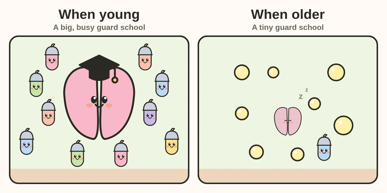 Two panels. Left, titled When young: a big, smiling thymus wearing a graduation cap, surrounded by many little guards. Right, titled When older: a tiny sleepy thymus surrounded by yellow fat bubbles, with just one little guard.